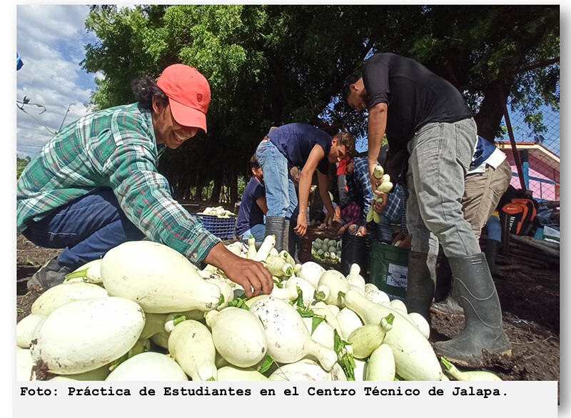 educacion-tecnica-nicaragua